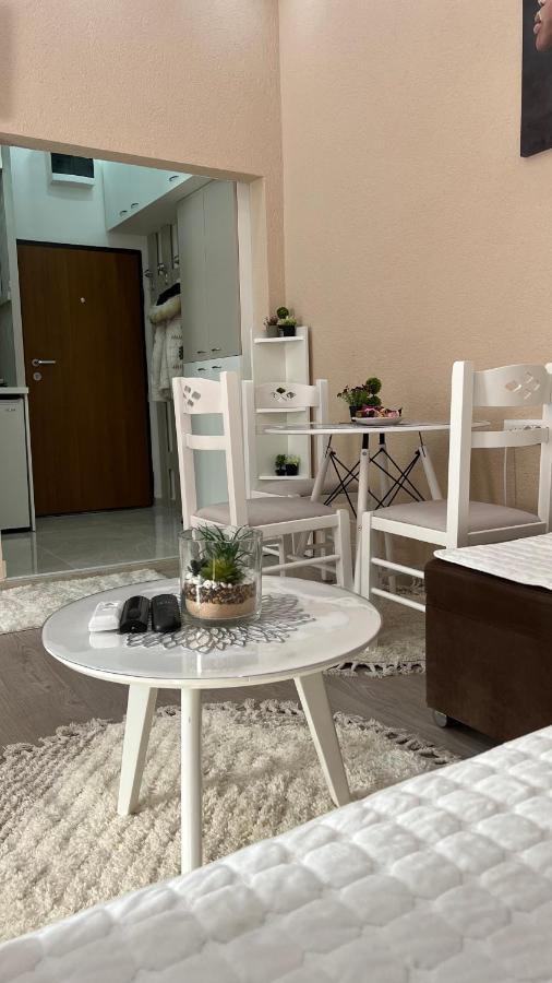 Apartment Downtown Podgoriţa Exterior foto